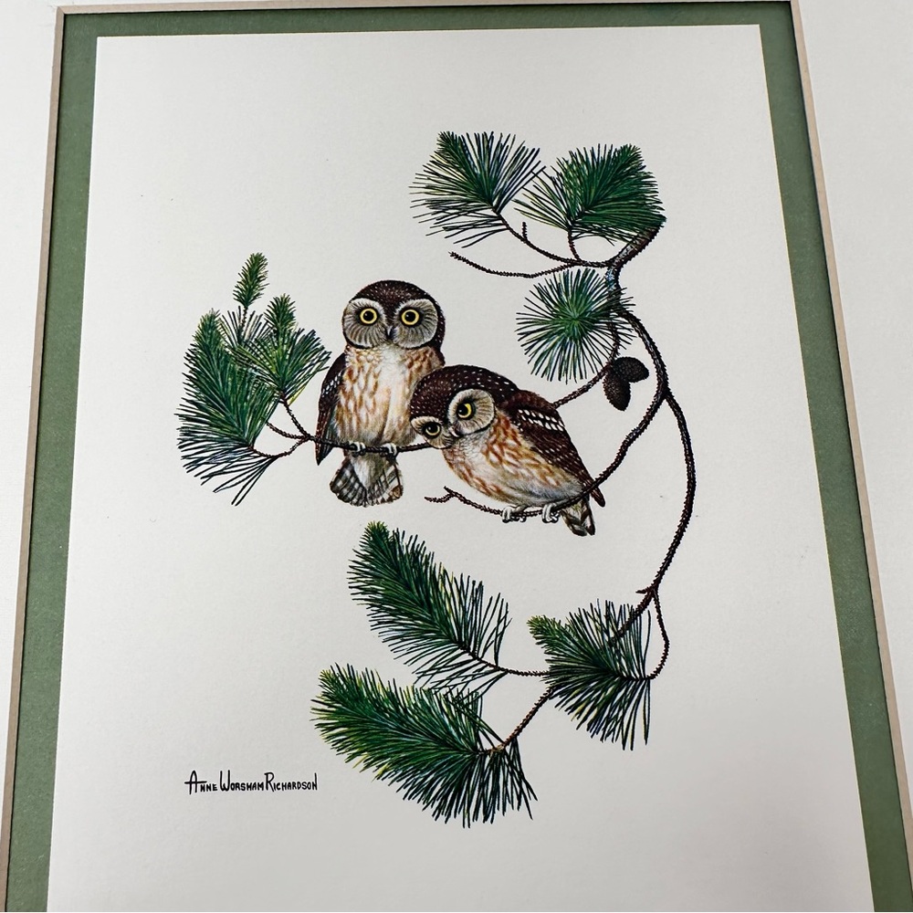 Anne Worsham Richardson Screech Owl and Saw Whet Owl
Signed Prints - Picture 8 of 16